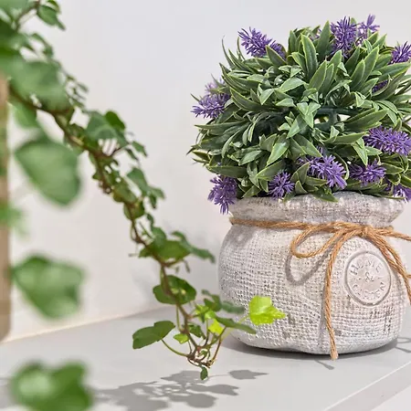 Maison d'hôtes Magnolia Luxury